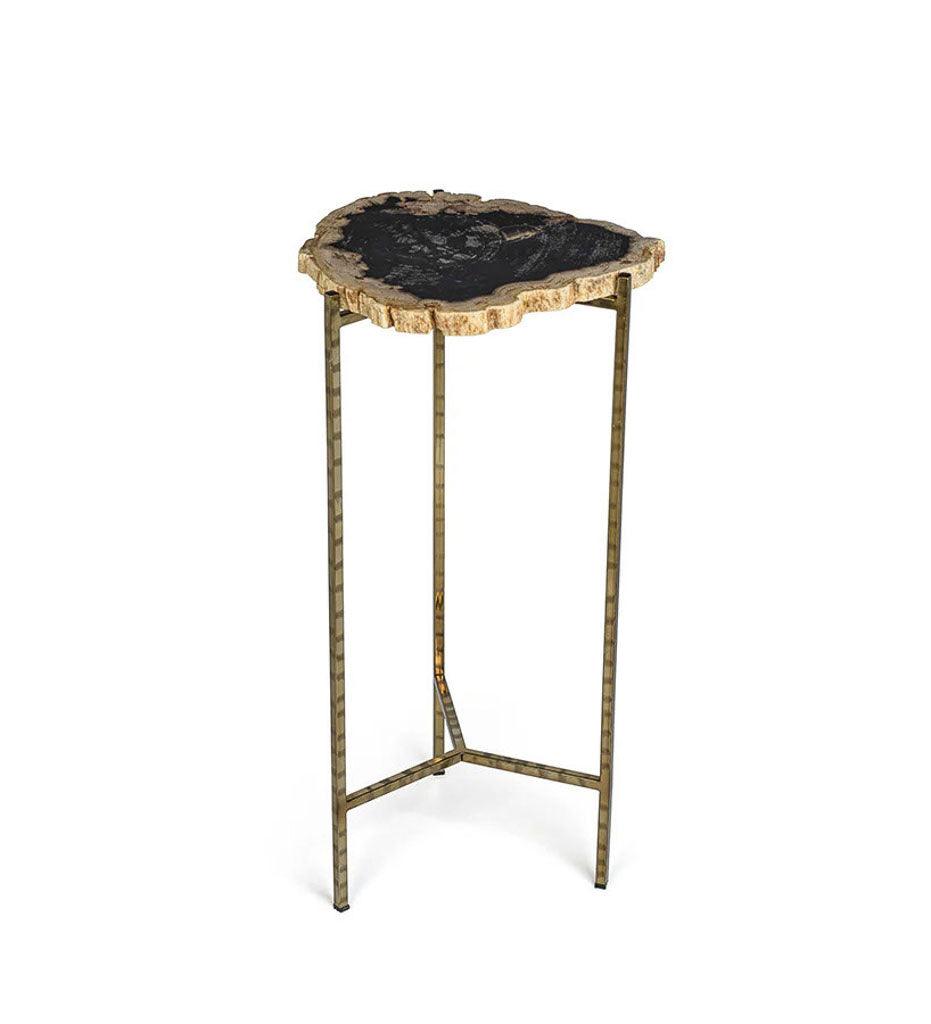 Allred Collaborative - Zodax - Porto Alegre Petrified Wood Side Table - Porto Alegre Petrified Wood Side Table - ID-376