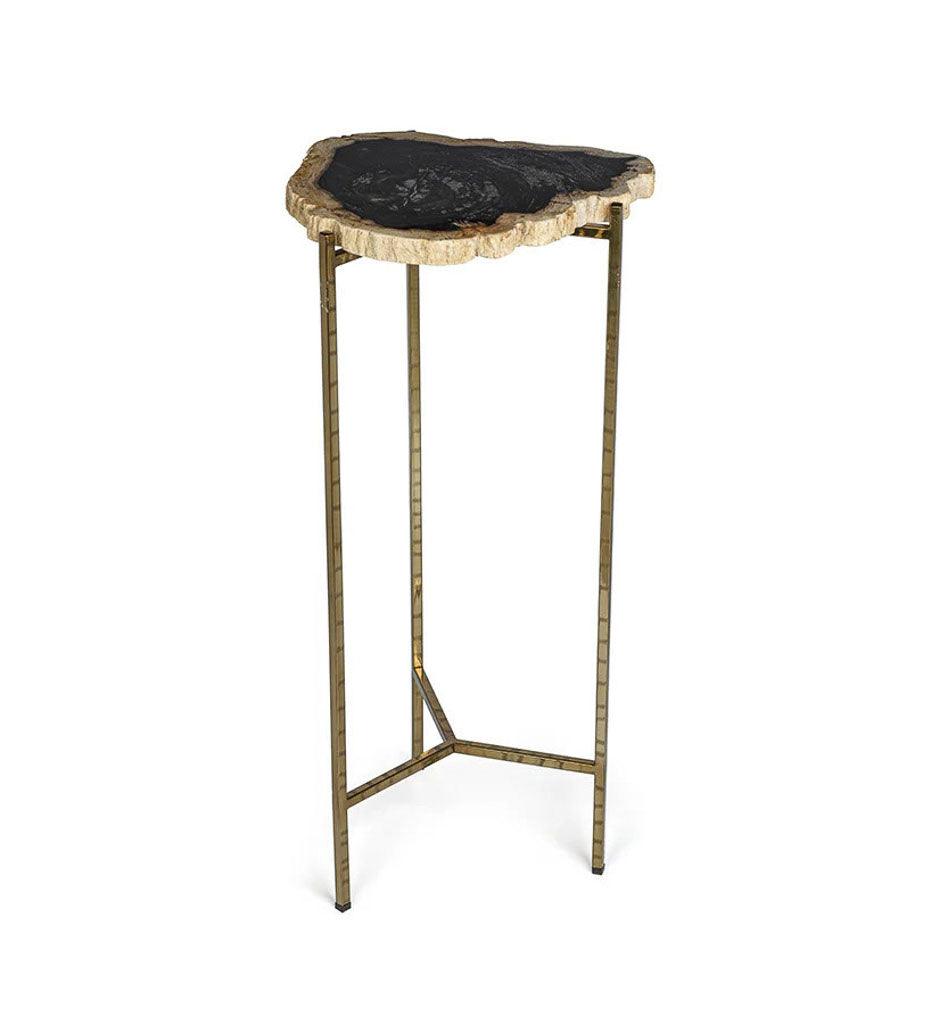 Allred Collaborative - Zodax - Porto Alegre Petrified Wood Side Table - Porto Alegre Petrified Wood Side Table - ID-377