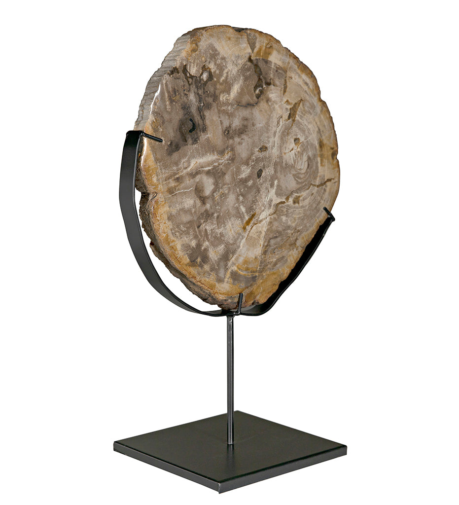 Noir Wood Fossil with Stand - 12 in AM-39A