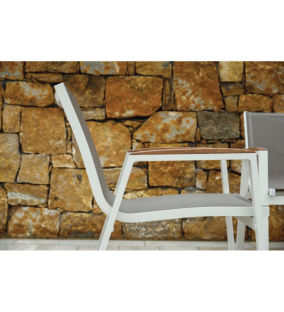 Allred Collaborative - 10DEKA - Amelia Arm Chair - - Amelia Arm Chair - - 205150100-WHT