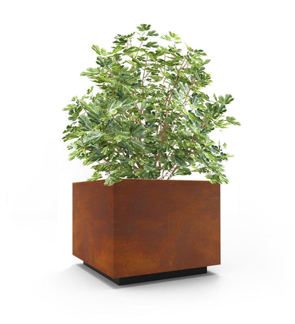 Allred Collaborative - CitySi - Marrakech Large Planter - - Marrakech Large Planter - - MRK4-9010