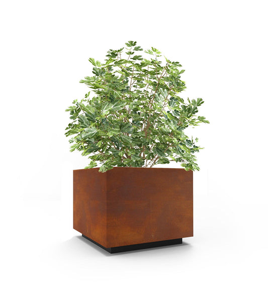 Allred Collaborative - CitySi - Marrakech Medium Planter - - Marrakech Medium Planter - - MRK3-9010