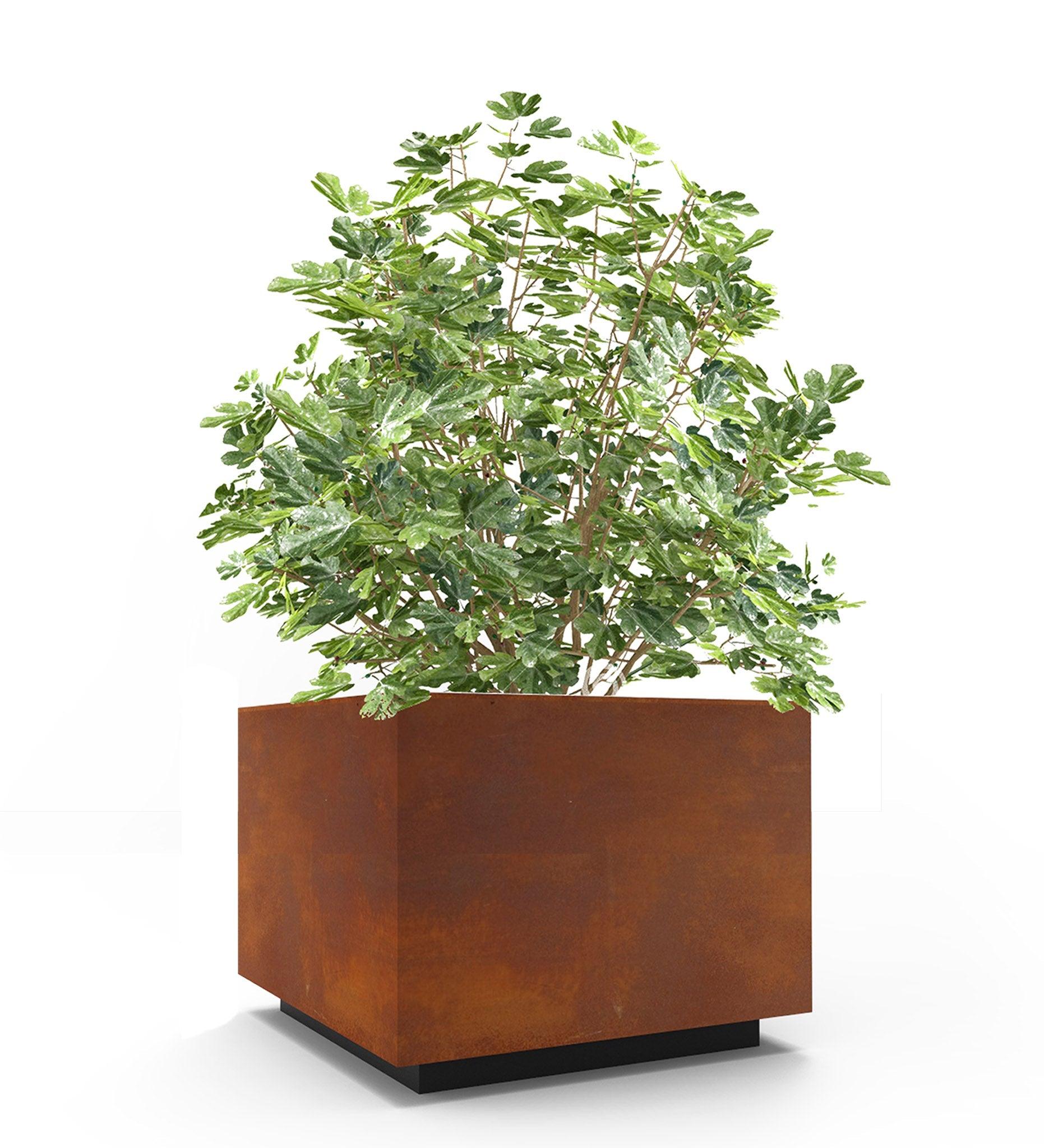 Allred Collaborative - CitySi - Marrakech Wide Planter - - Marrakech Wide Planter - - MRK06-9010