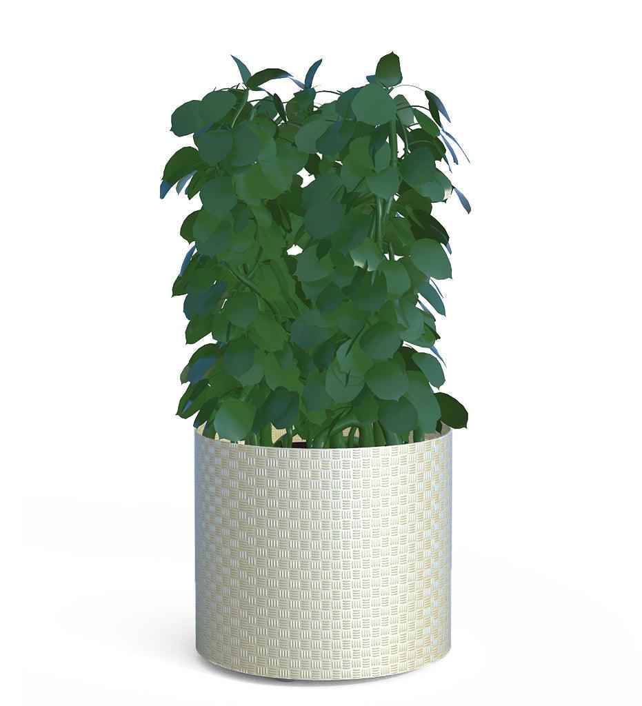 Allred Collaborative - CitySi - Pattern Planter - Round - - Pattern Planter - Round - - PTN_RND-9010